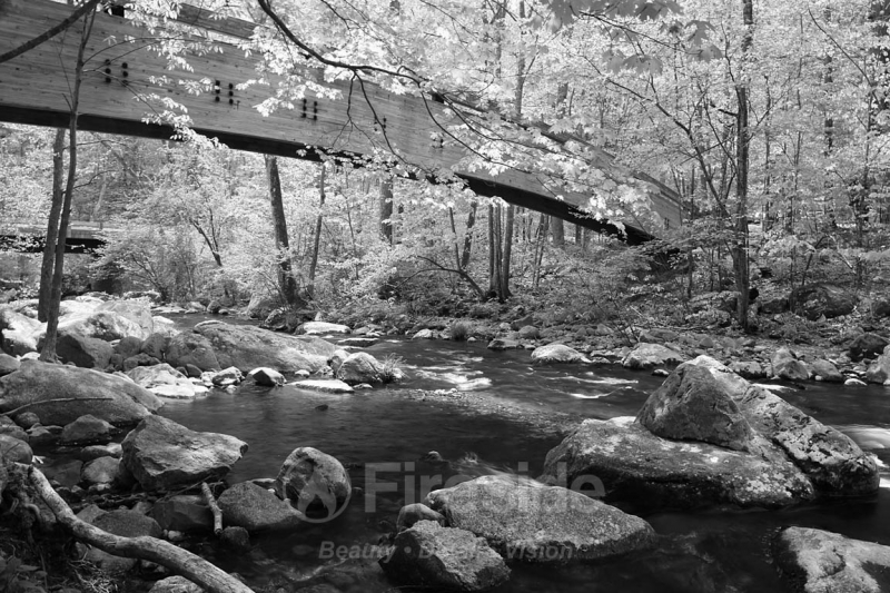 Rustic Bridge (B&W)